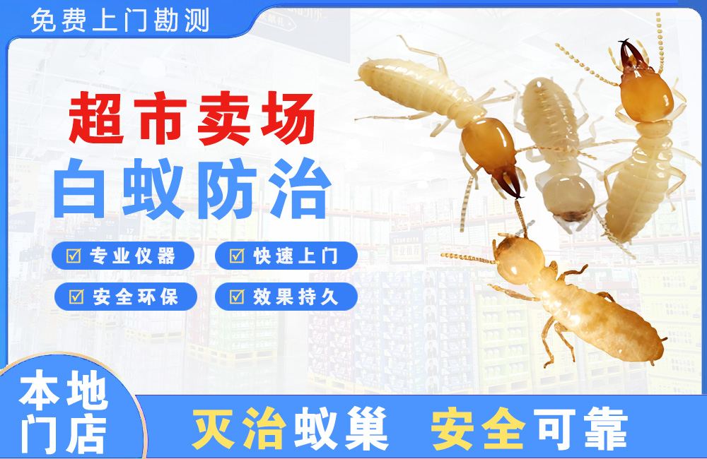 中堂超市卖场白蚁防治