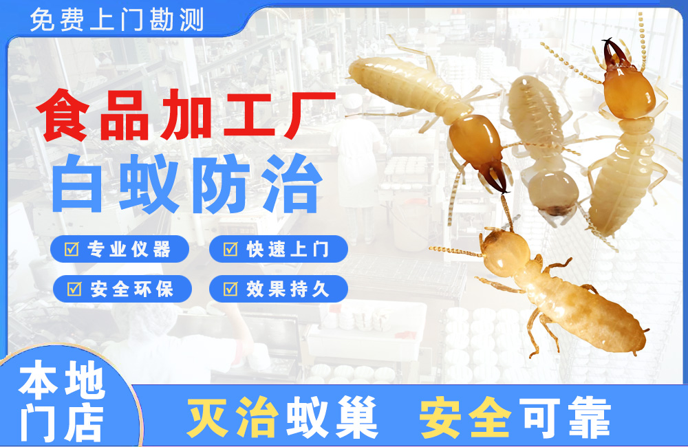 中堂食品加工厂白蚁防治