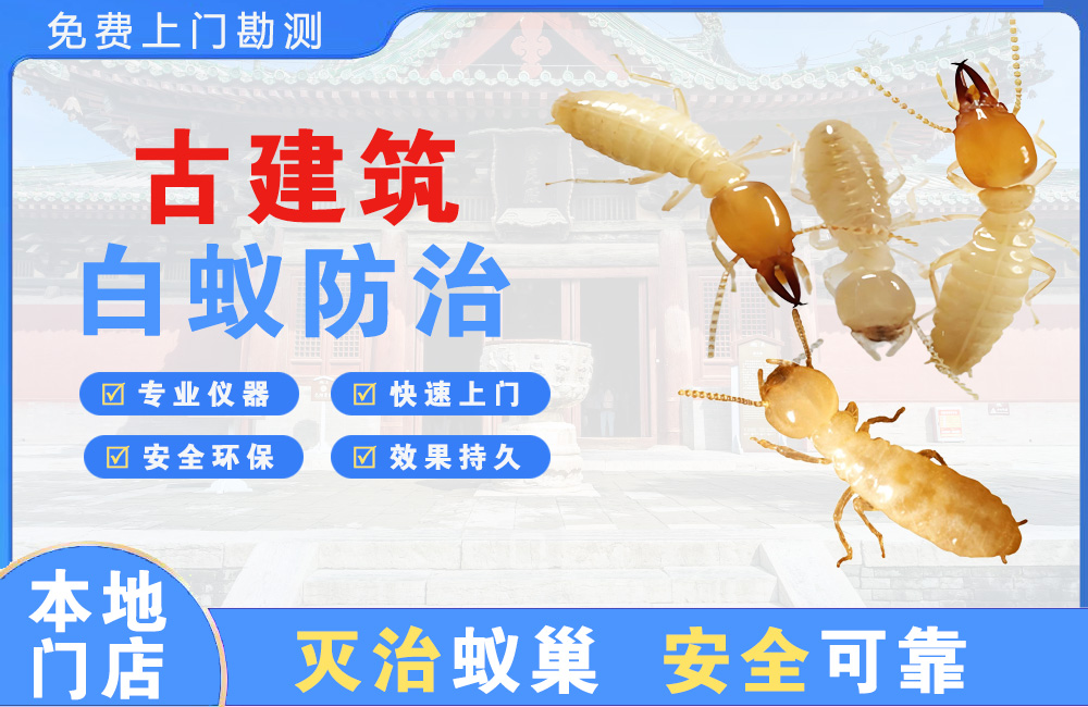 中堂古建筑白蚁防治