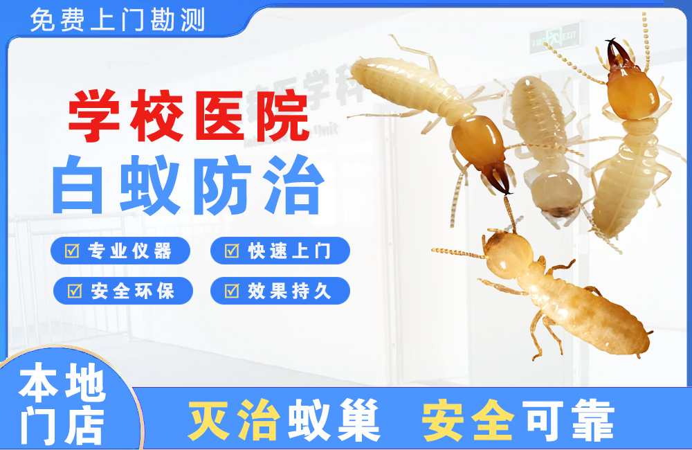 中堂学校医院白蚁防治