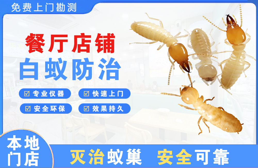 中堂餐厅店铺白蚁防治
